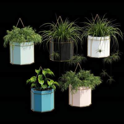 现代吊篮吊兰 花盆盆栽